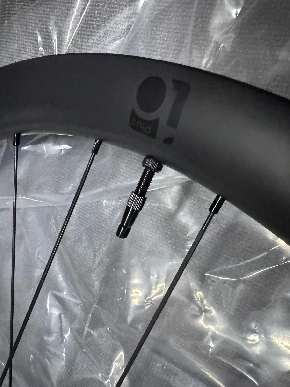 Close-up of the rim logo with a tubeless valve already fitted
